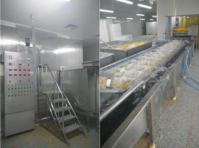 Quick-frozen Processing Line of Yellow Peach