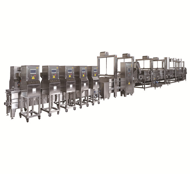 WZD Complete set meatball processing line